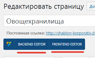 backend editor или fronted editor