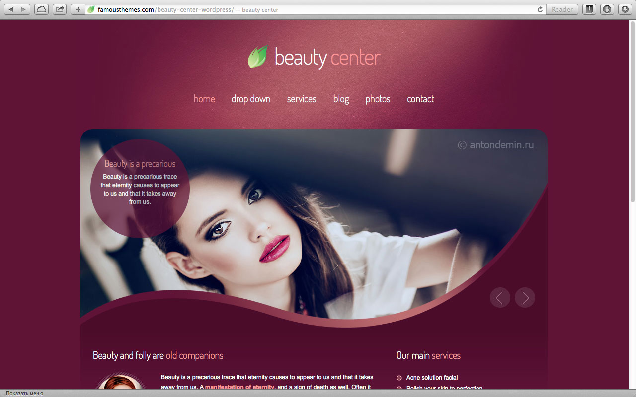 10 премиум-шаблонов WordPress для сайта салона красоты и SPA