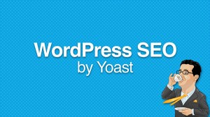 SEO плагин для WordPress от Yoast