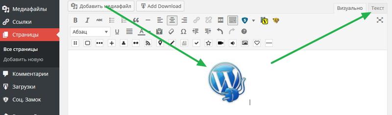 Как вставить картинку в виджет WordPress? Переходим в тектовый редактор.