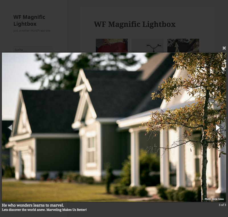 WF Magnific Lightbox