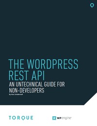 WordPress REST API 2
