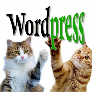 Автоматическое и ручное обновление WordPress