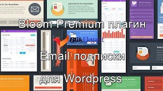 Плагин Email подписки для Wordpress (инструкция на Английском)