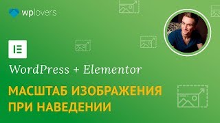 Масштабирование изображений при наведении в Elementor для WordPress