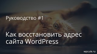 Руководство #1: Как восстановить адрес сайта WordPress