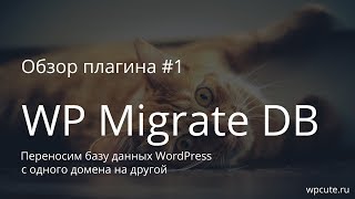 Обзор плагина #1: WP Migrate DB v0.9. Переносим базу данных WordPress с одного домена на другой