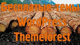 Бесплатные темы WordPress от Themeforest